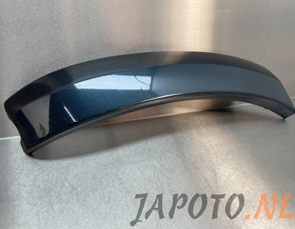 Trim Strip Bumper TOYOTA RAV 4 III (_A3_)