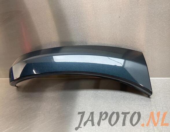 Sierpaneel bumper TOYOTA RAV 4 III (_A3_)