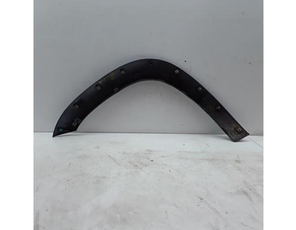 Trim Strip Mudguard TOYOTA RAV 4 III (_A3_)