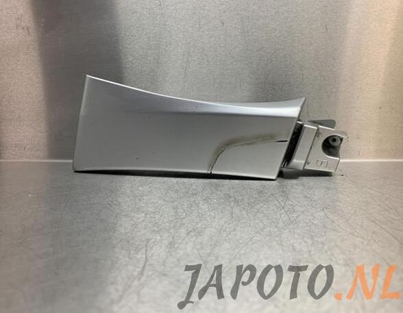 Trim Strip Mudguard SUBARU FORESTER (SG_)