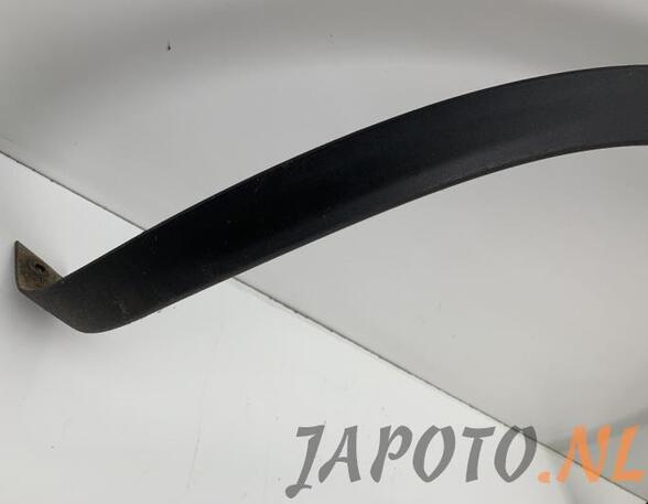 Trim Strip Mudguard NISSAN QASHQAI / QASHQAI +2 I (J10, NJ10, JJ10E)