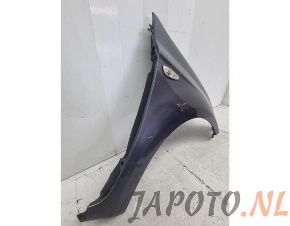 Spatbord HYUNDAI i20 (PB, PBT)