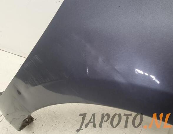 Spatbord HYUNDAI i20 (PB, PBT)