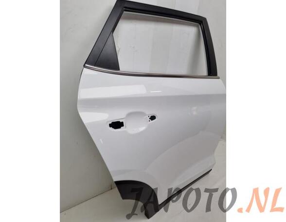 Door HYUNDAI TUCSON (TL, TLE)