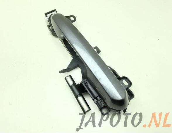 Door Handle TOYOTA RAV 4 V (_A5_, _H5_)