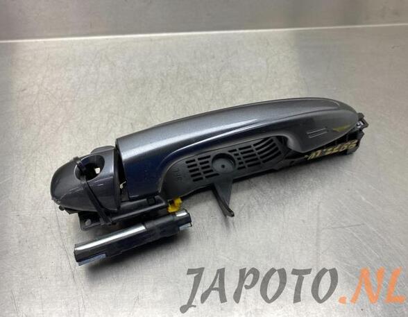 Door Handle TOYOTA RAV 4 IV (_A4_)