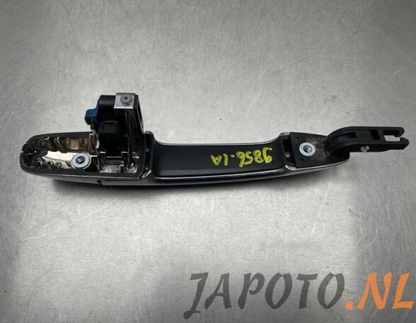 Door Handle SUZUKI BALENO (FW, EW)