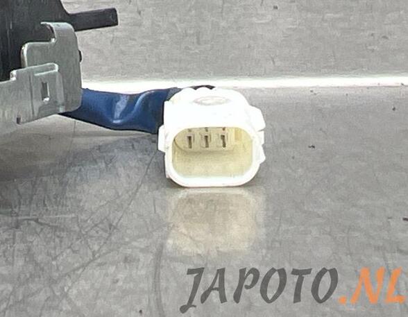 Door Handle TOYOTA RAV 4 III (_A3_)