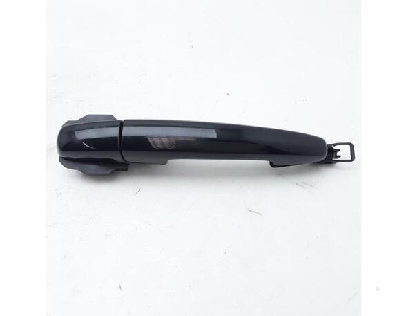 Door Handle SUZUKI IGNIS III (MF)