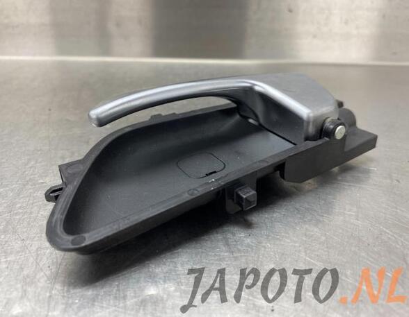 Door Handle HYUNDAI i20 (GB, IB)