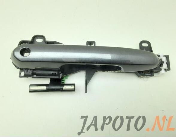 Door Handle TOYOTA RAV 4 V (_A5_, _H5_)