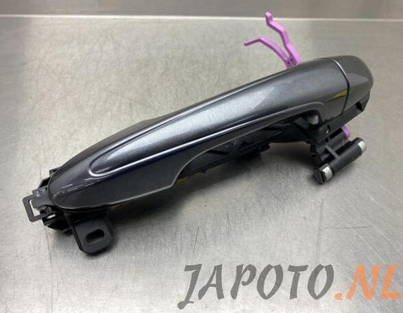 Door Handle TOYOTA RAV 4 IV (_A4_)