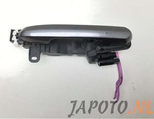 Door Handle TOYOTA RAV 4 V (_A5_, _H5_)