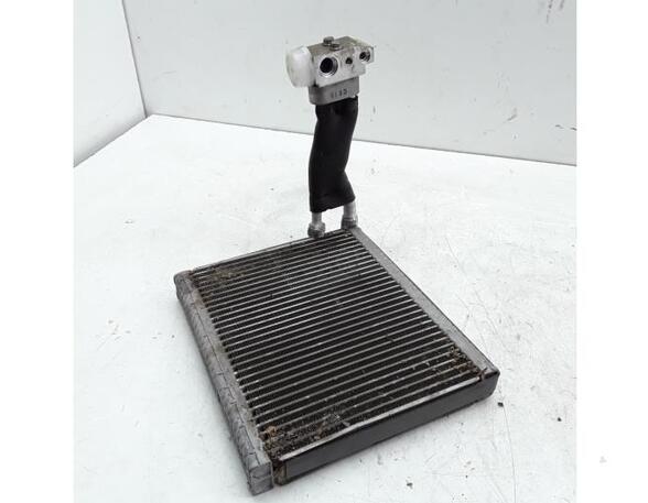 Airconditioning Verdamper HYUNDAI i20 (PB, PBT)