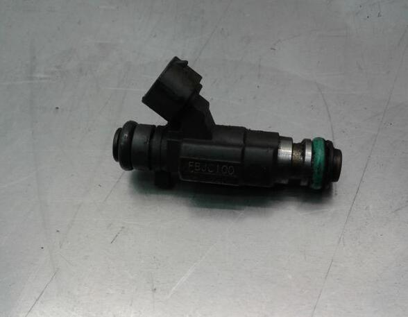 Injector Nozzle NISSAN PRIMERA Estate (WP12)