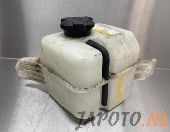 Coolant Expansion Tank KIA CARENS III MPV (UN)