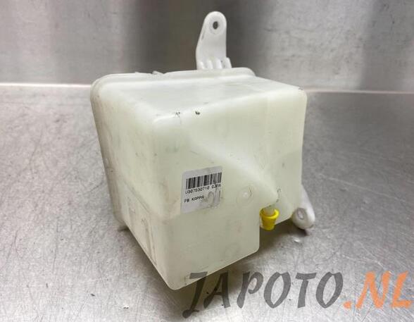 Coolant Expansion Tank HYUNDAI i20 (PB, PBT)