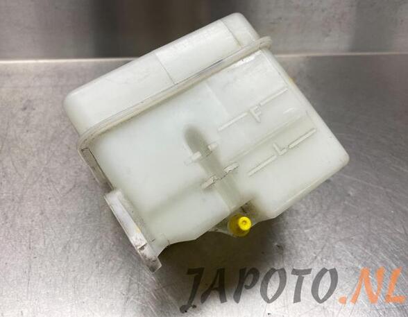 Coolant Expansion Tank HYUNDAI i20 (PB, PBT)