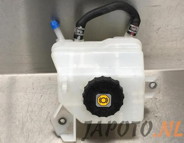 Coolant Expansion Tank TOYOTA RAV 4 V (_A5_, _H5_)