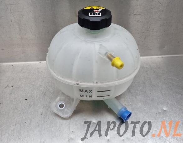 Coolant Expansion Tank HYUNDAI TUCSON (TL, TLE)