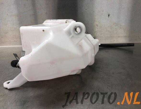 Coolant Expansion Tank TOYOTA RAV 4 V (_A5_, _H5_)