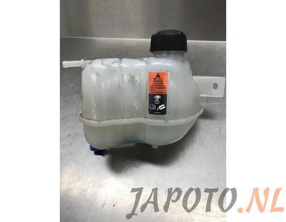 Coolant Expansion Tank NISSAN QASHQAI II SUV (J11, J11_)