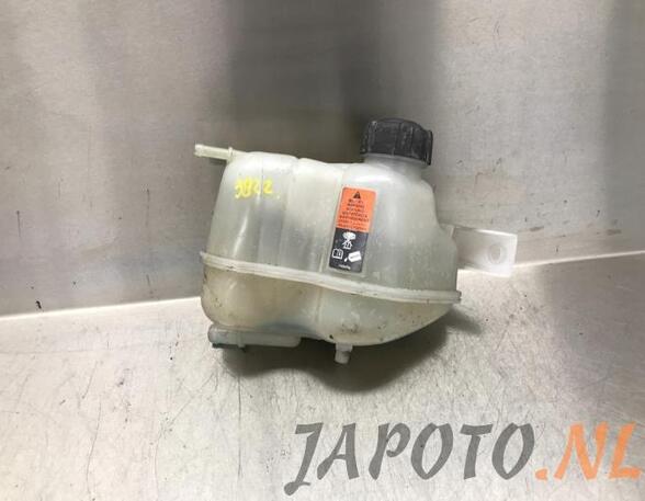 Coolant Expansion Tank NISSAN QASHQAI II SUV (J11, J11_)