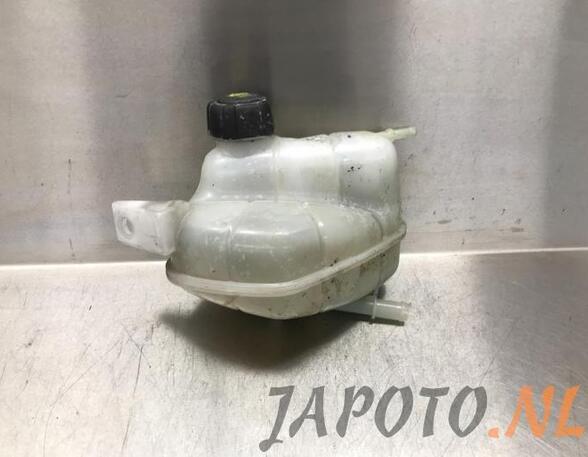 Coolant Expansion Tank NISSAN QASHQAI II SUV (J11, J11_)