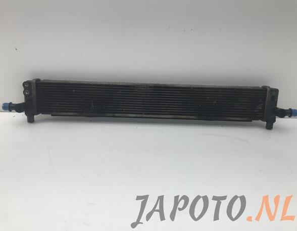 Radiateur LEXUS CT (ZWA10_)