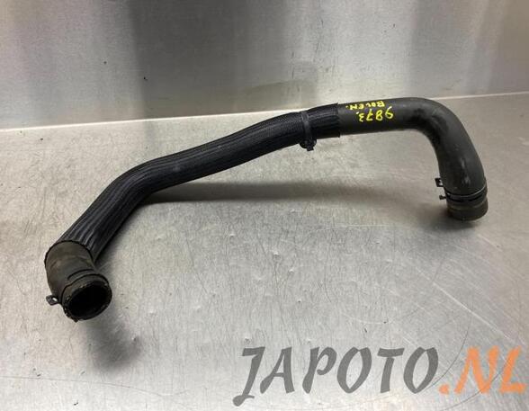 Radiator Hose NISSAN MICRA V (K14)