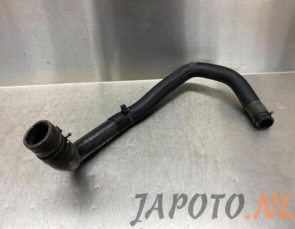 Radiator Hose NISSAN MICRA V (K14)