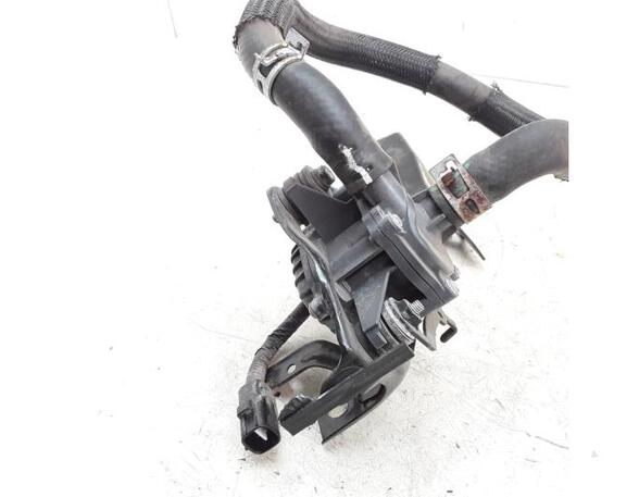 Water Pump TOYOTA AURIS (_E15_), TOYOTA AURIS (_E18_), TOYOTA AURIS Estate (_E18_)