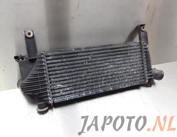 Intercooler NISSAN NP300 NAVARA (D40)