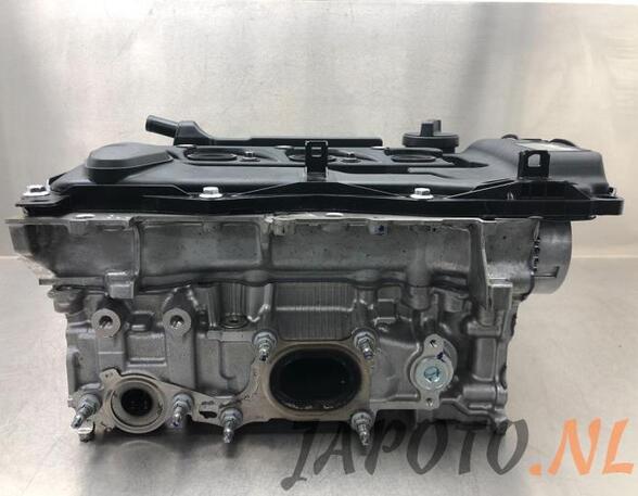 Cylinder Head TOYOTA YARIS (_P21_, _PA1_, _PH1_)