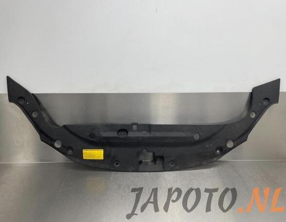 Closing plate LEXUS CT (ZWA10_)