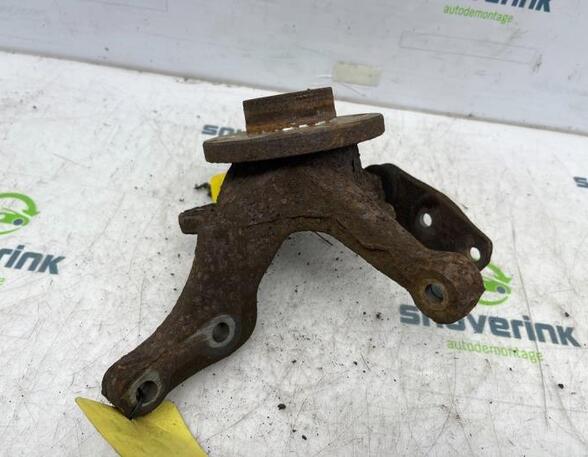 Stub Axle RENAULT Twingo I (C06)