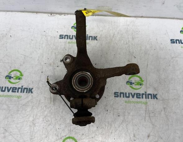 Stub Axle RENAULT Twingo I (C06)