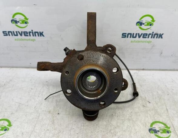 Stub Axle RENAULT Twingo I (C06)