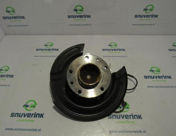 Stub Axle RENAULT Zoe (BFM)