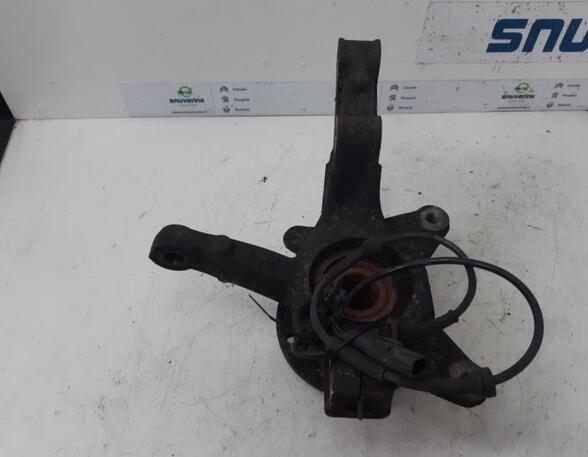 Stub Axle RENAULT KANGOO Express (FW0/1_)