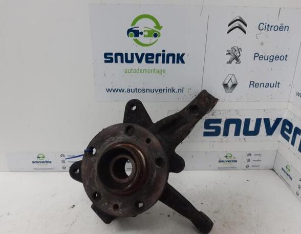 Stub Axle RENAULT KANGOO Express (FW0/1_)