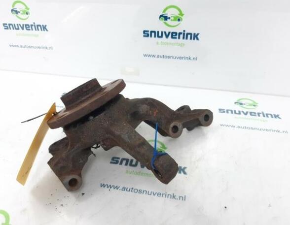 Stub Axle RENAULT KANGOO Express (FW0/1_)