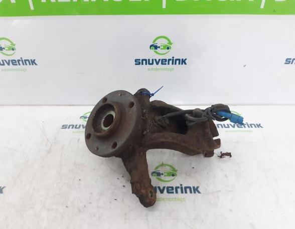 Stub Axle PEUGEOT 207 (WA, WC)