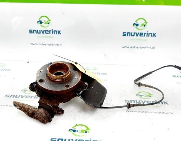 Stub Axle RENAULT Twingo II (CN0)