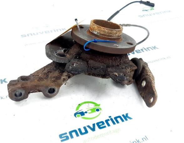 Stub Axle RENAULT Twingo II (CN0)