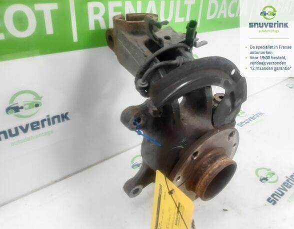 Stub Axle RENAULT MEGANE IV Grandtour (K9A/M/N_)