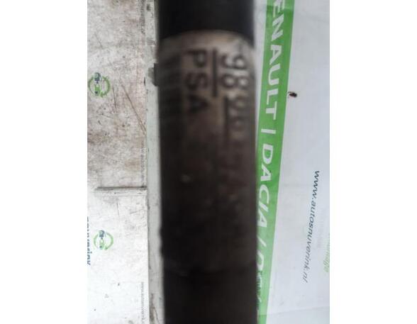 Drive Shaft PEUGEOT EXPERT Van (V_), OPEL VIVARO C Van (K0)