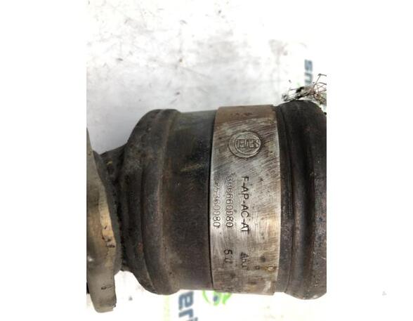 Catalytic Converter FIAT Ducato Pritsche/Fahrgestell (250, 290)