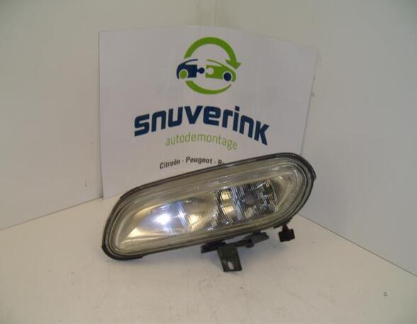 Fog Light PEUGEOT 406 (8B)