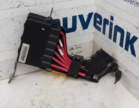 Fuse Box RENAULT Megane III Grandtour (KZ0/1)